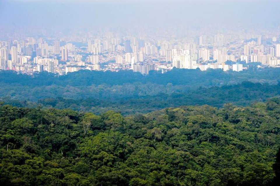 Cantareira Park Tour - Waterfall Trail - Tangol Tours - Brazil - Image 1