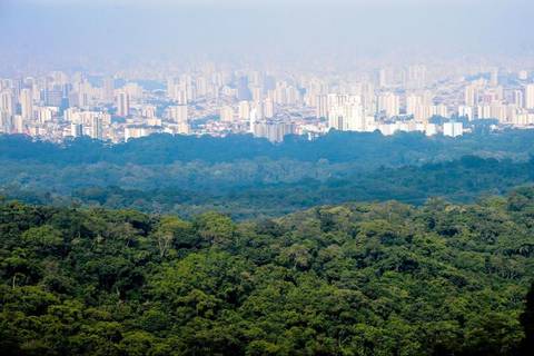 Cantareira Park Tour - Waterfall Trail - December 2025