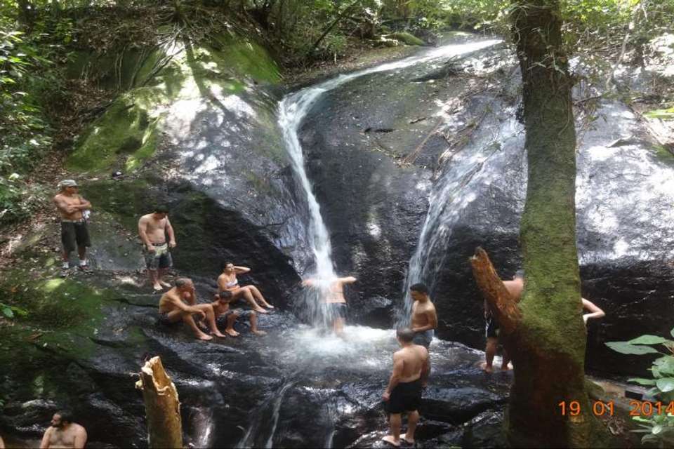 Cantareira Park Tour - Waterfall Trail - Tangol Tours - Brazil - Image 4