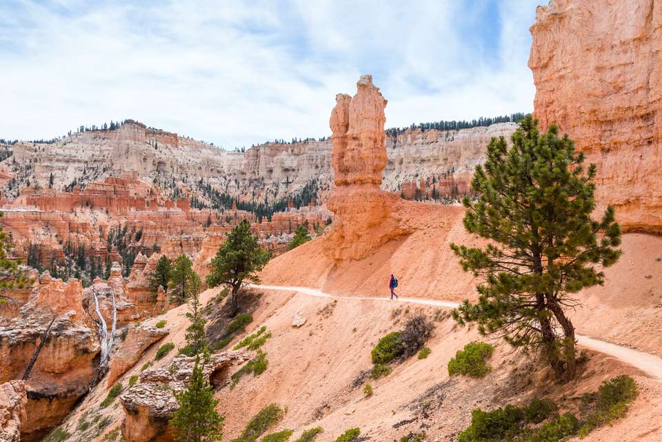 Canyons and Navajo Lands - undefined - Image 3