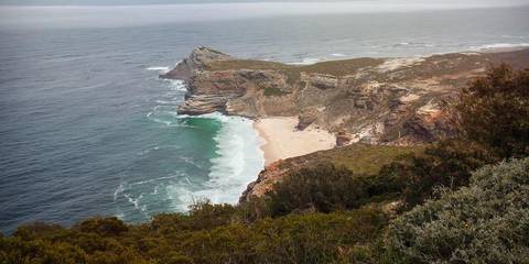 Windhoek Wildlife Tour: Cape & Dunes Discoverer