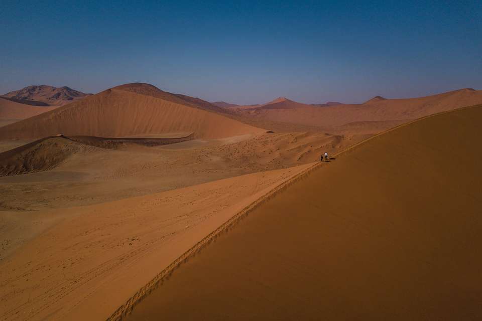 Cape & Dunes Northbound: Wildlife & Starry Night Skies - undefined - Image 18