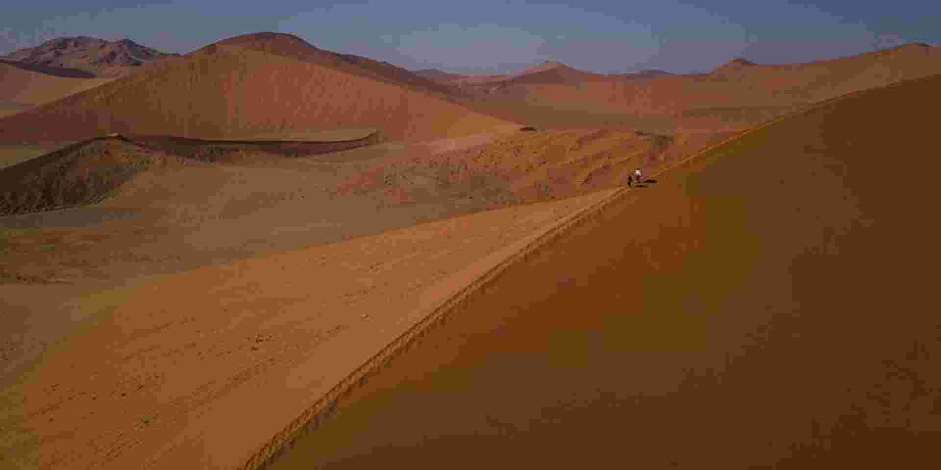 Cape & Dunes Northbound: Wildlife & Starry Night Skies