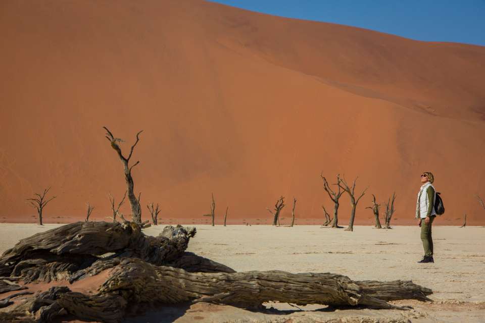 Cape & Dunes Southbound: Desert Camping & Safari Drives - G Adventures - Namibia - Image 12