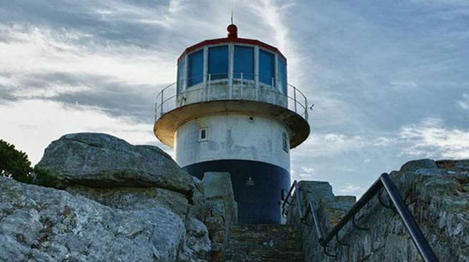 Cape of Good Hope, Cape Point, Penguins and Peninsula - Cape Town Day Tours - South Africa - Image 3