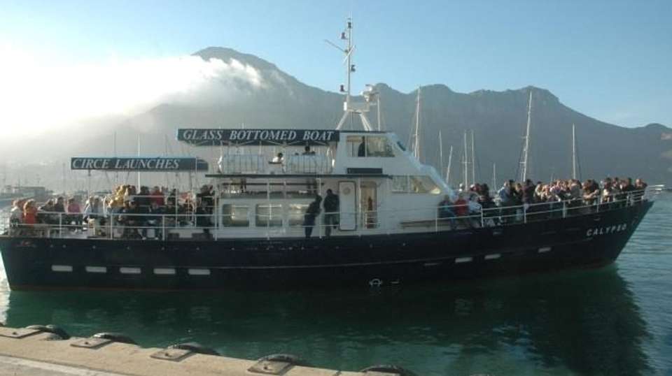 Cape of Good Hope, Cape Point, Penguins and Peninsula - Cape Town Day Tours - South Africa - Image 5