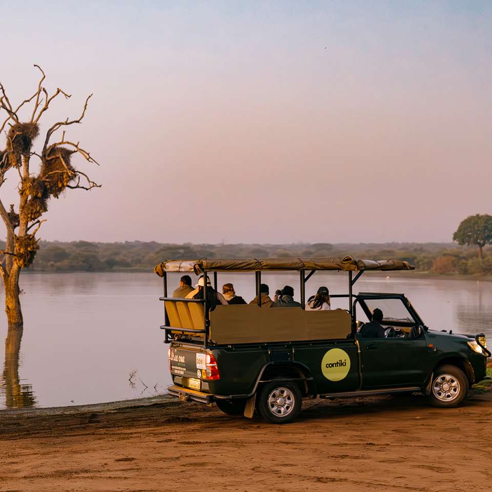 Cape, Safari and Falls - Contiki - Botswana - Image 5
