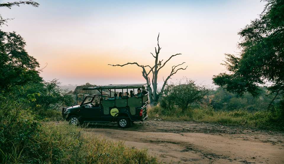 Cape, Safari and Falls 35 to 45 - Contiki - South Africa