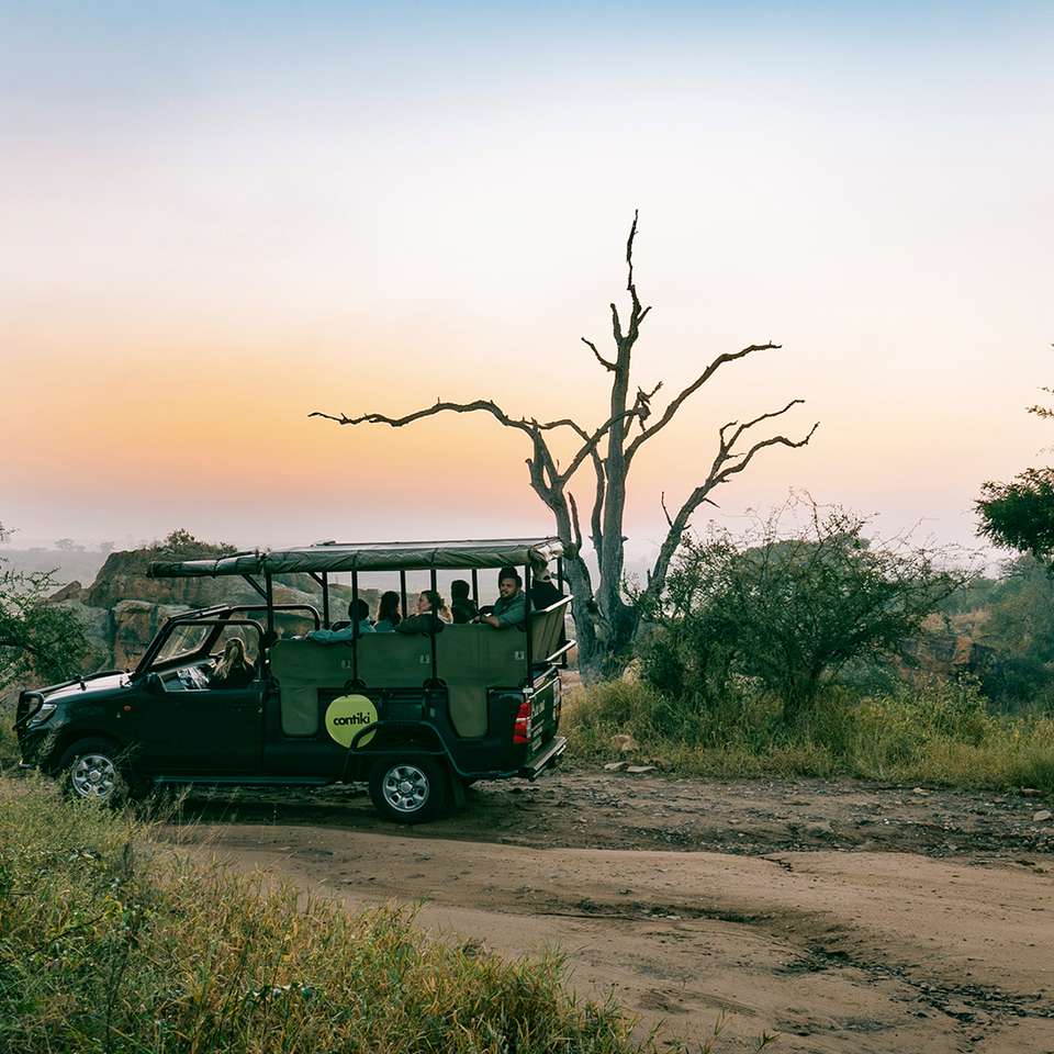 Cape, Safari and Falls 35 to 45 - Contiki - South Africa - Image 5