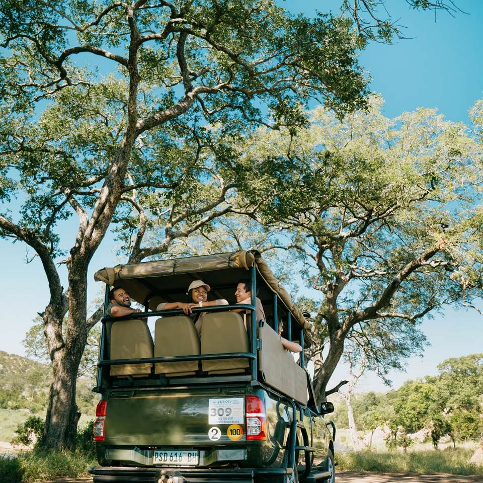 Cape to Delta Safari - Contiki - South Africa - Image 5