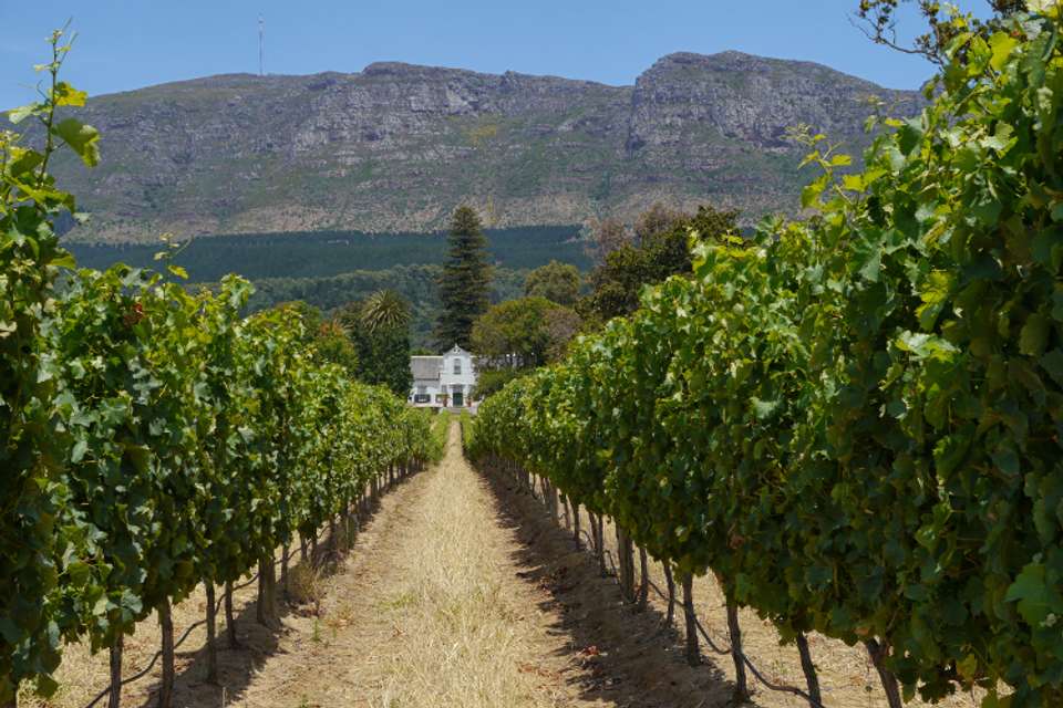 Cape Town And Garden Route - Destination Services - South Africa - Image 4
