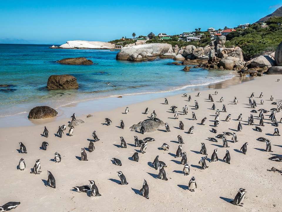Cape Town & Kruger (Mantobeni Camp) - 9 days - On The Go Tours - South Africa - Image 2