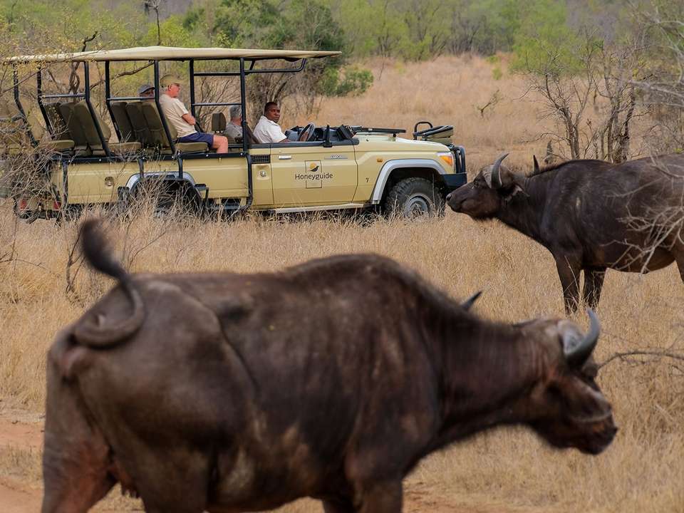 Cape Town & Kruger (Mantobeni Camp) - 9 days - On The Go Tours - South Africa - Image 4