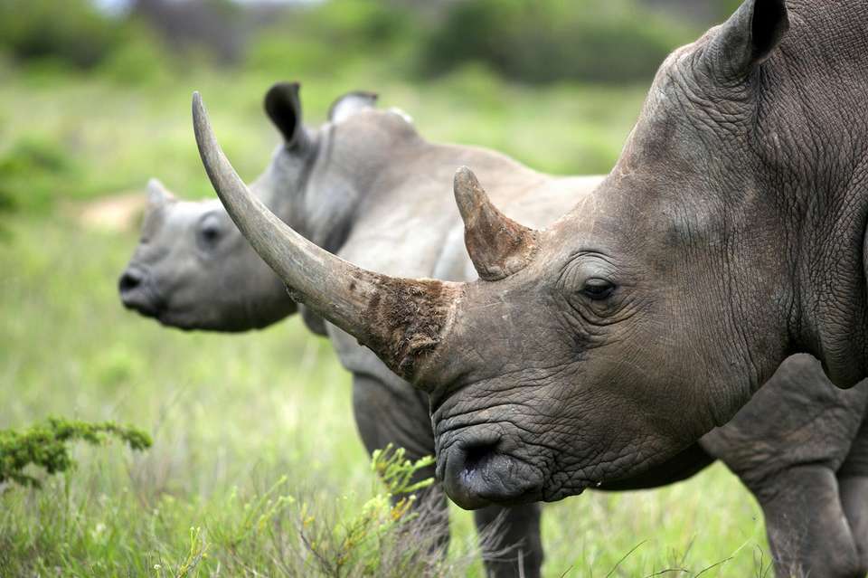 Cape Town & the Garden Route - Expat Explore - South Africa - Image 8