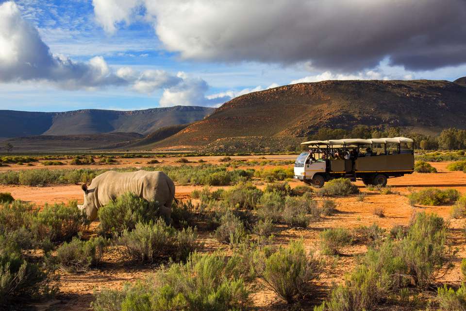 Cape Town & the Garden Route - Expat Explore - South Africa - Image 10