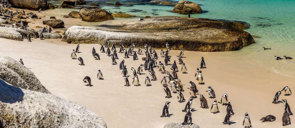 Cape Town & the Garden Route - Exodus Adventure Travels - South Africa