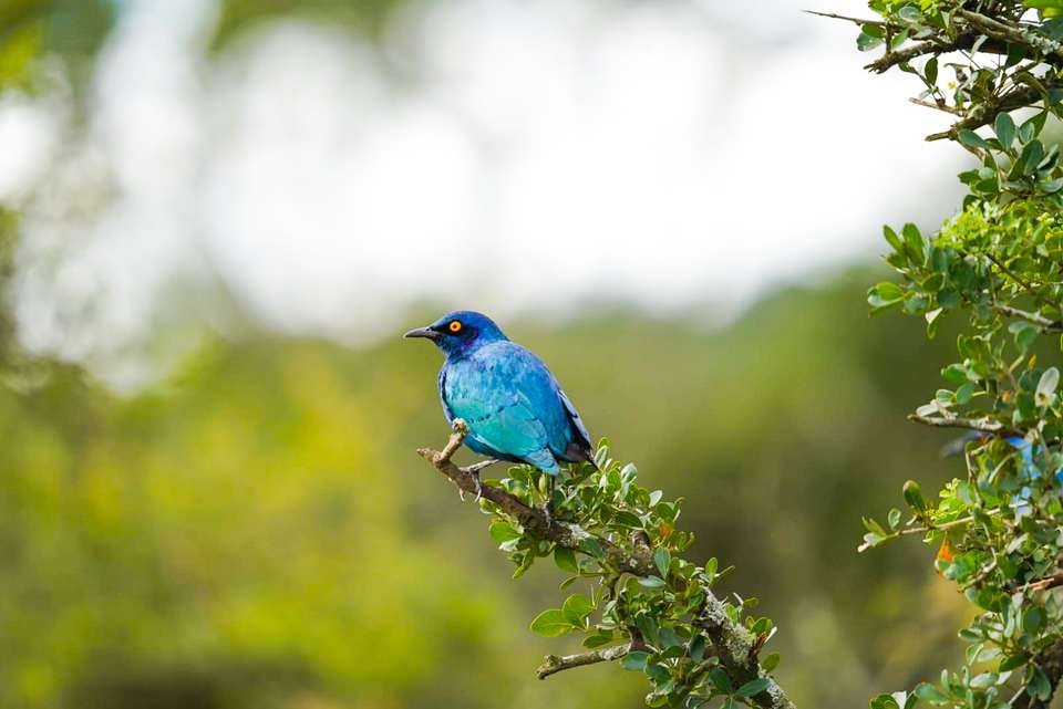 Cape Town & the Garden Route - Exodus Adventure Travels - South Africa