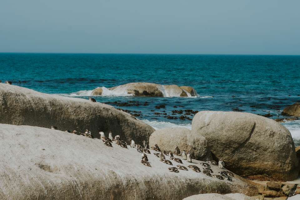 Cape Town & the Garden Route - Exodus Adventure Travels - South Africa