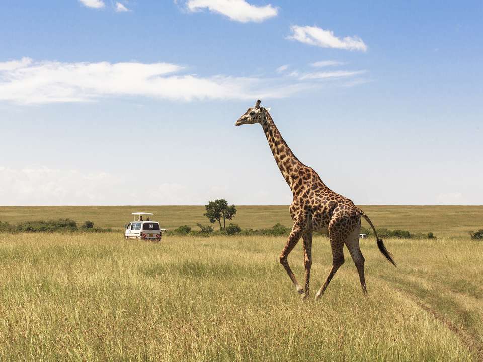 Cape Town Break & Safari - 8 days - On The Go Tours - South Africa - Image 4