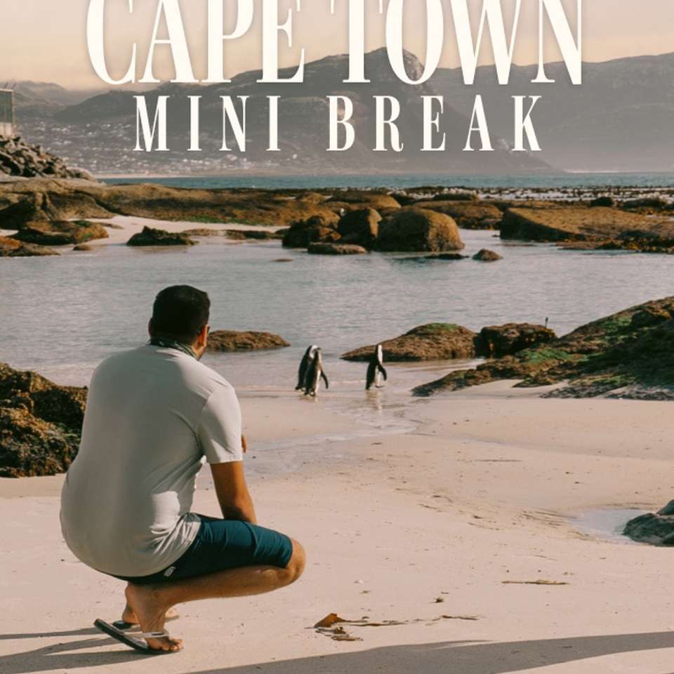 Cape Town Explorer - undefined - Image 6