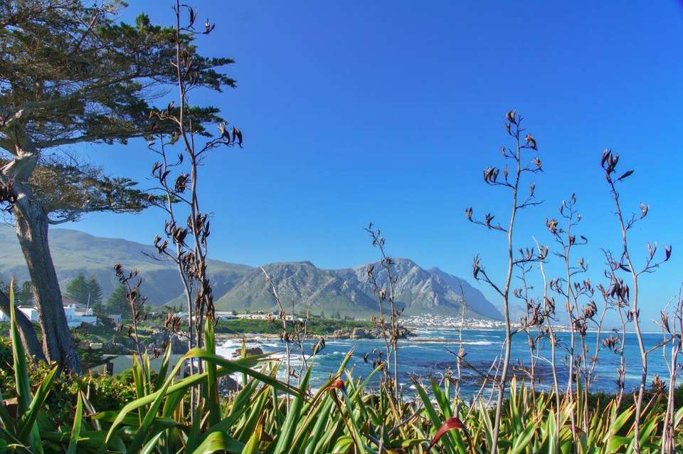 Cape Town, Garden Route And Eastern Cape - Destination Services - South Africa - Image 5