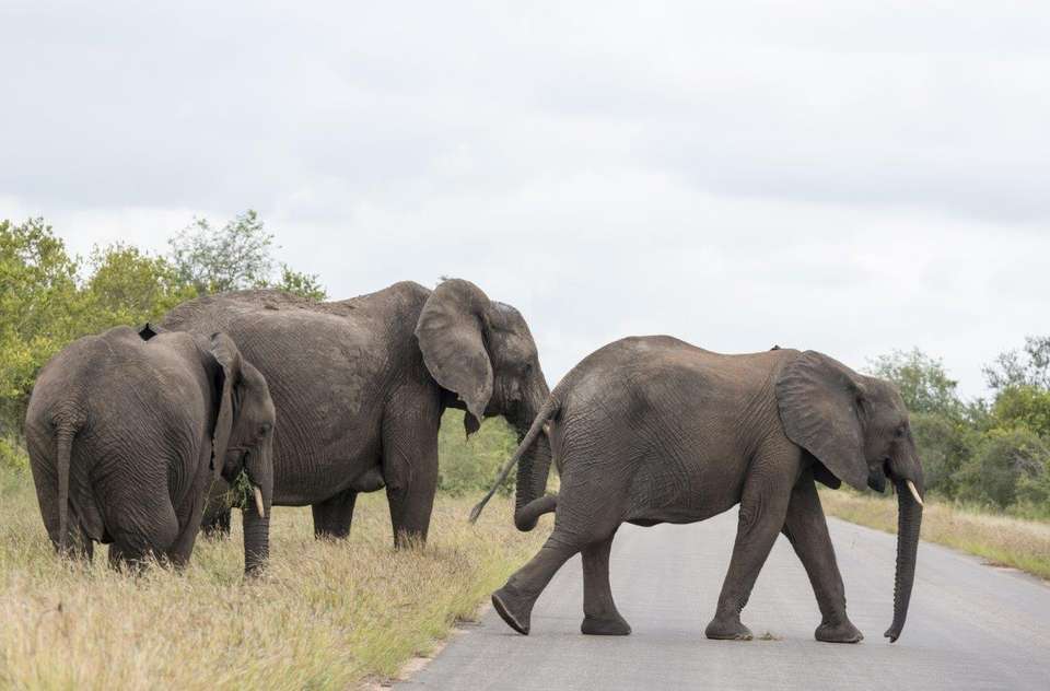 Cape Town, Garden Route And Eastern Cape - Destination Services - South Africa - Image 14