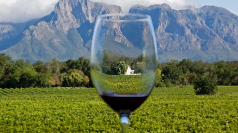 Cape Town & Garden Route Experience in 13 days - Salty Travel - South Africa - Image 4