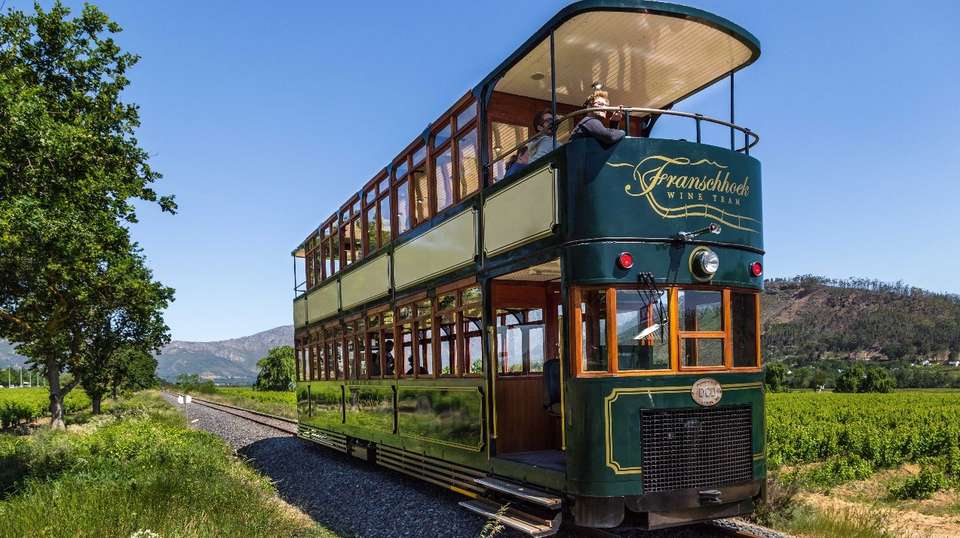 Cape Town & Garden Route Experience in 13 days - Salty Travel - South Africa - Image 5