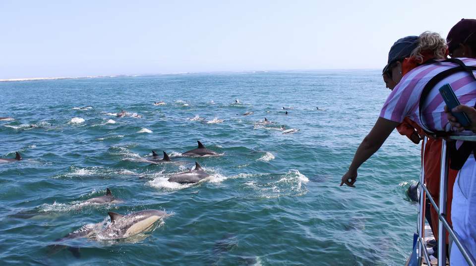 Cape Town & Garden Route Experience in 13 days - Salty Travel - South Africa - Image 6