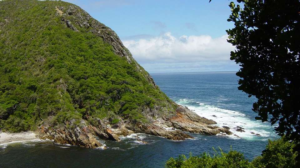 Cape Town & Garden Route Experience in 13 days - Salty Travel - South Africa - Image 8