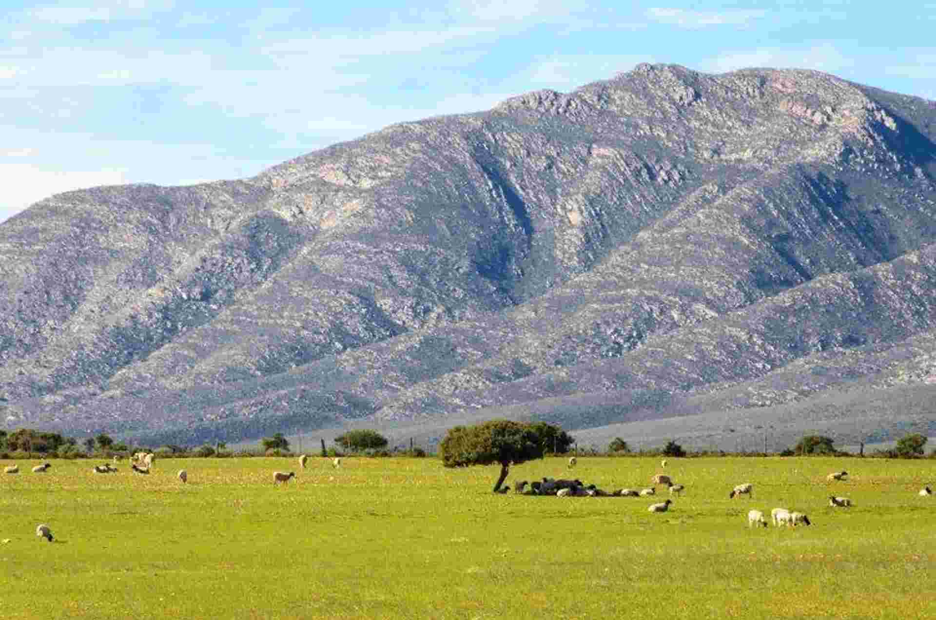 Cape Town, Kruger And Garden Route