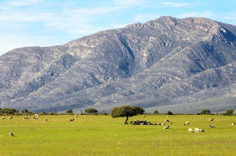 Cape Town, Kruger And Garden Route, Self-drive - Destination Services - South Africa - Image 1