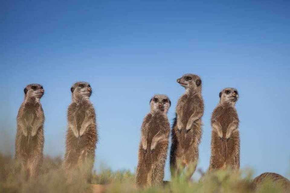 Cape Town, Kruger And Garden Route, Self-drive - Destination Services - South Africa - Image 3