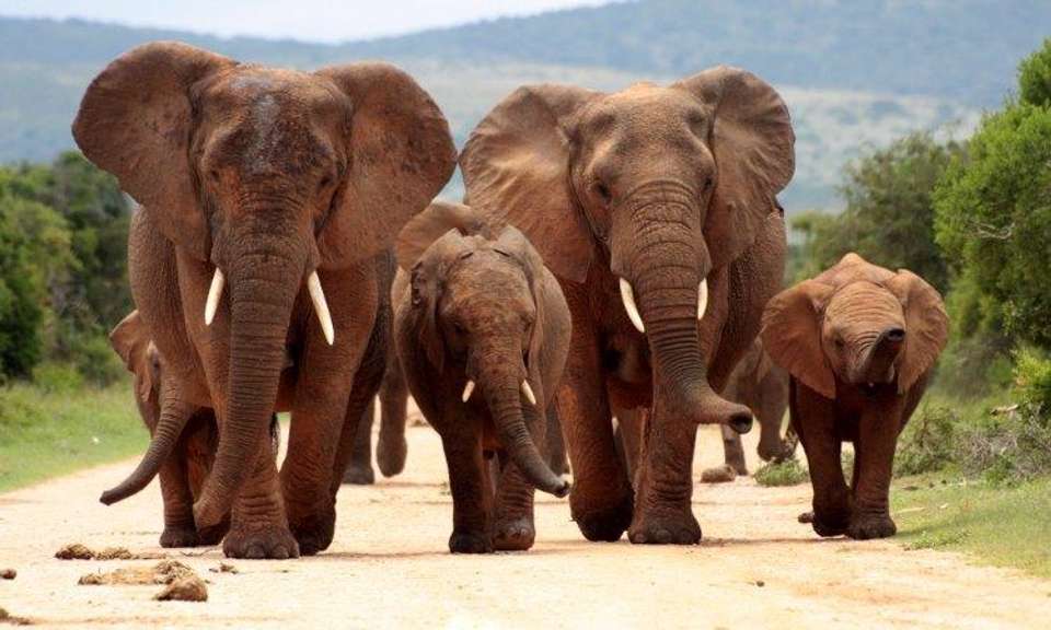 Cape Town, Kruger And Garden Route, Self-drive - Destination Services - South Africa - Image 8