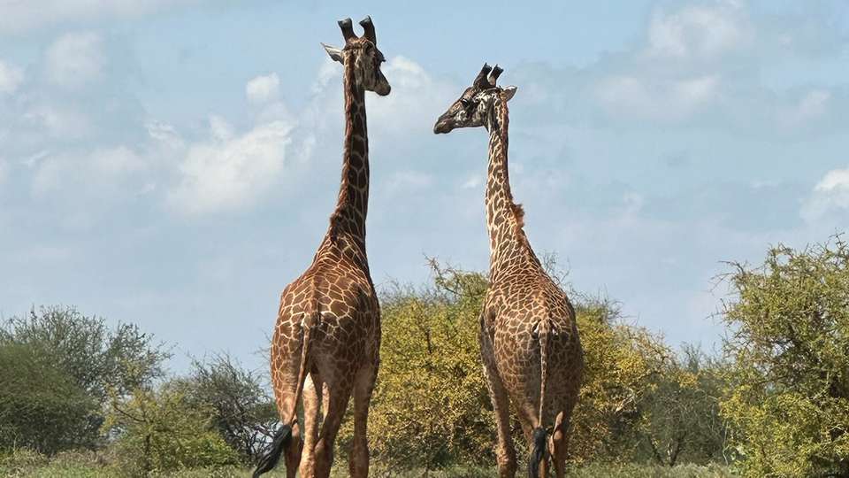 Cape Town to Cairo - Collette Tours - South Africa - Image 2