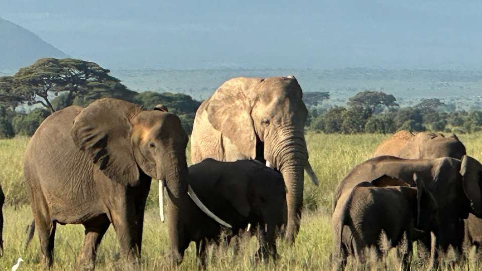 Cape Town to Cairo - Collette Tours - South Africa - Image 4
