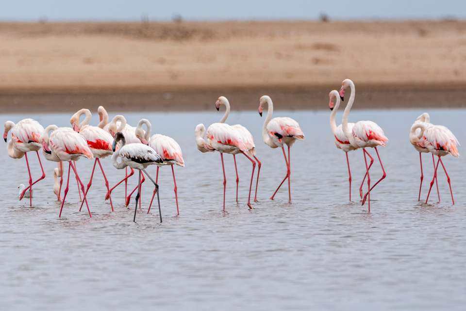 Cape Town to Victoria Falls - Hotel/Lodge - Exodus Adventure Travels - South Africa