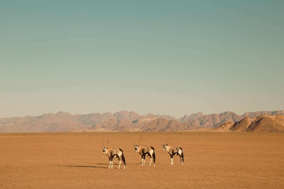 Cape Town to Victoria Falls - Hotel/Lodge - Exodus Adventure Travels - South Africa