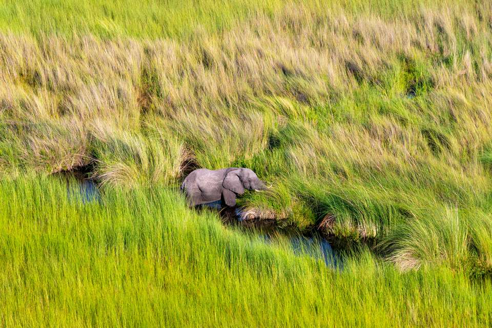 Cape Town to Victoria Falls - Hotel/Lodge - Exodus Adventure Travels - South Africa