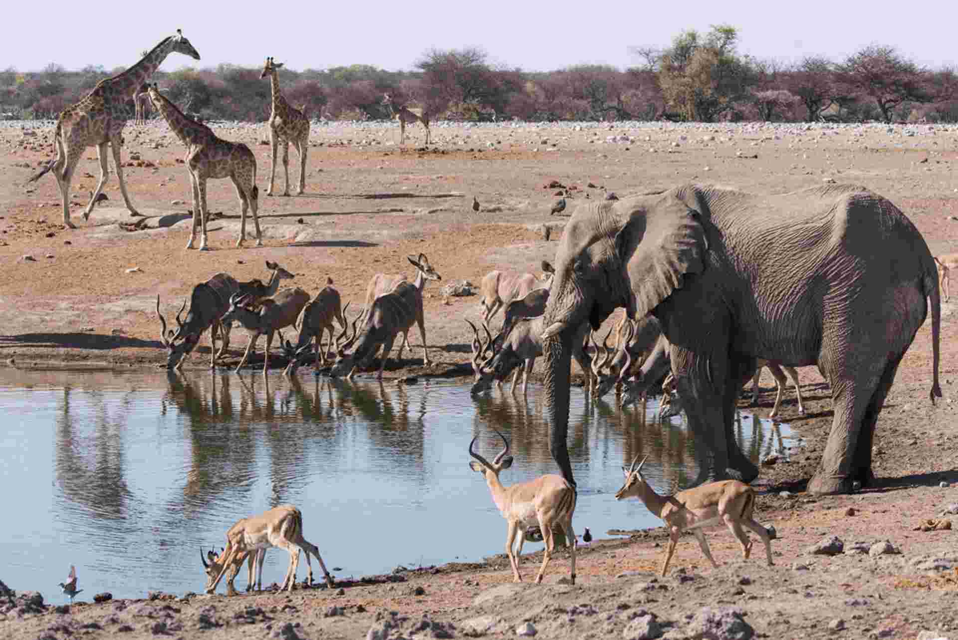 Cape Town to Zanzibar