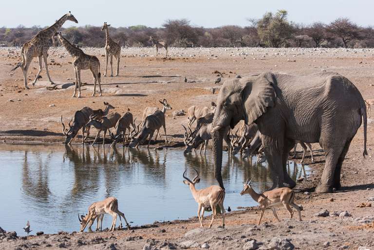 Zanzibar Road Tour: Cape Town to Zanzibar