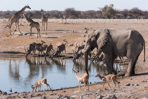 Dar Es Salaam National Parks Tour: Cape Town To Zanzibar