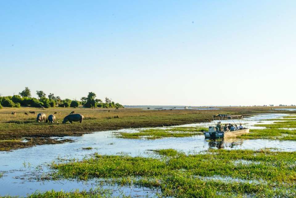 Cape Town to Zanzibar - Intrepid Travel - South Africa - Image 9
