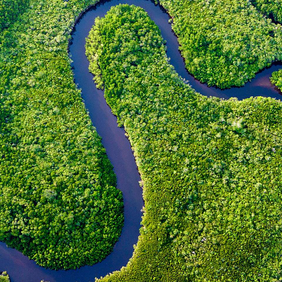 Cape Tribulation and Cooktown Wanderer - Aat Kings - Australia - Image 2