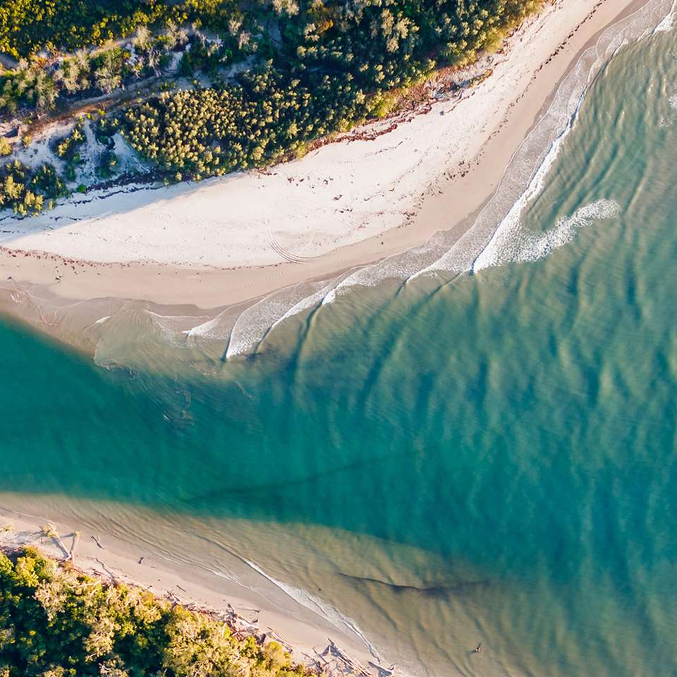 Cape Tribulation and Cooktown Wanderer - Aat Kings - Australia - Image 3