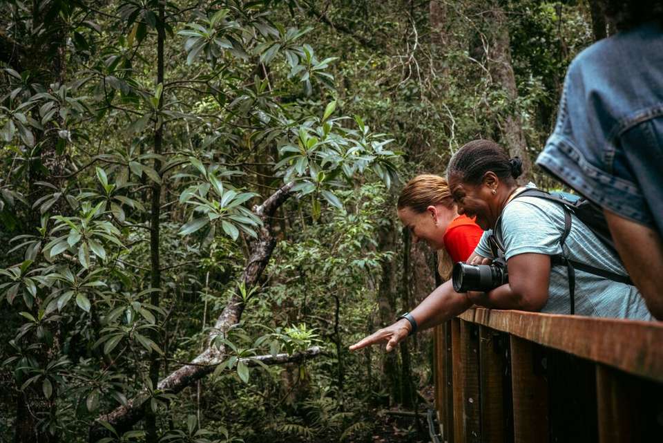 Cape York & Torres Strait Explorer - Intrepid Travel - Australia - Image 9