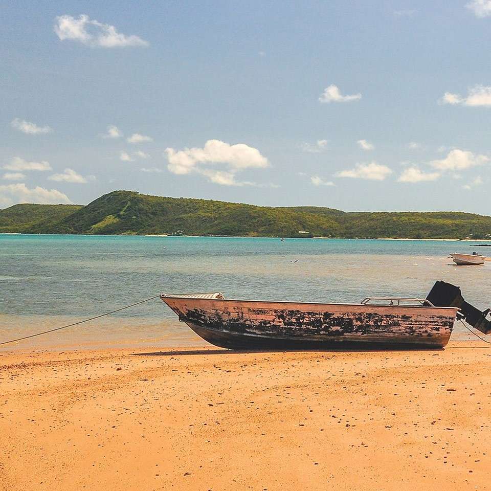 Cape York Frontier - Aat Kings - Australia - Image 5