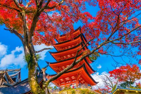 Capitals Of Japan End Kyoto - December 2025