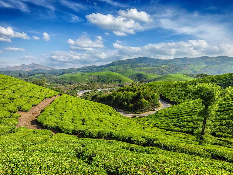 Captivating Kerala - 8 days trip - alternative tour available
