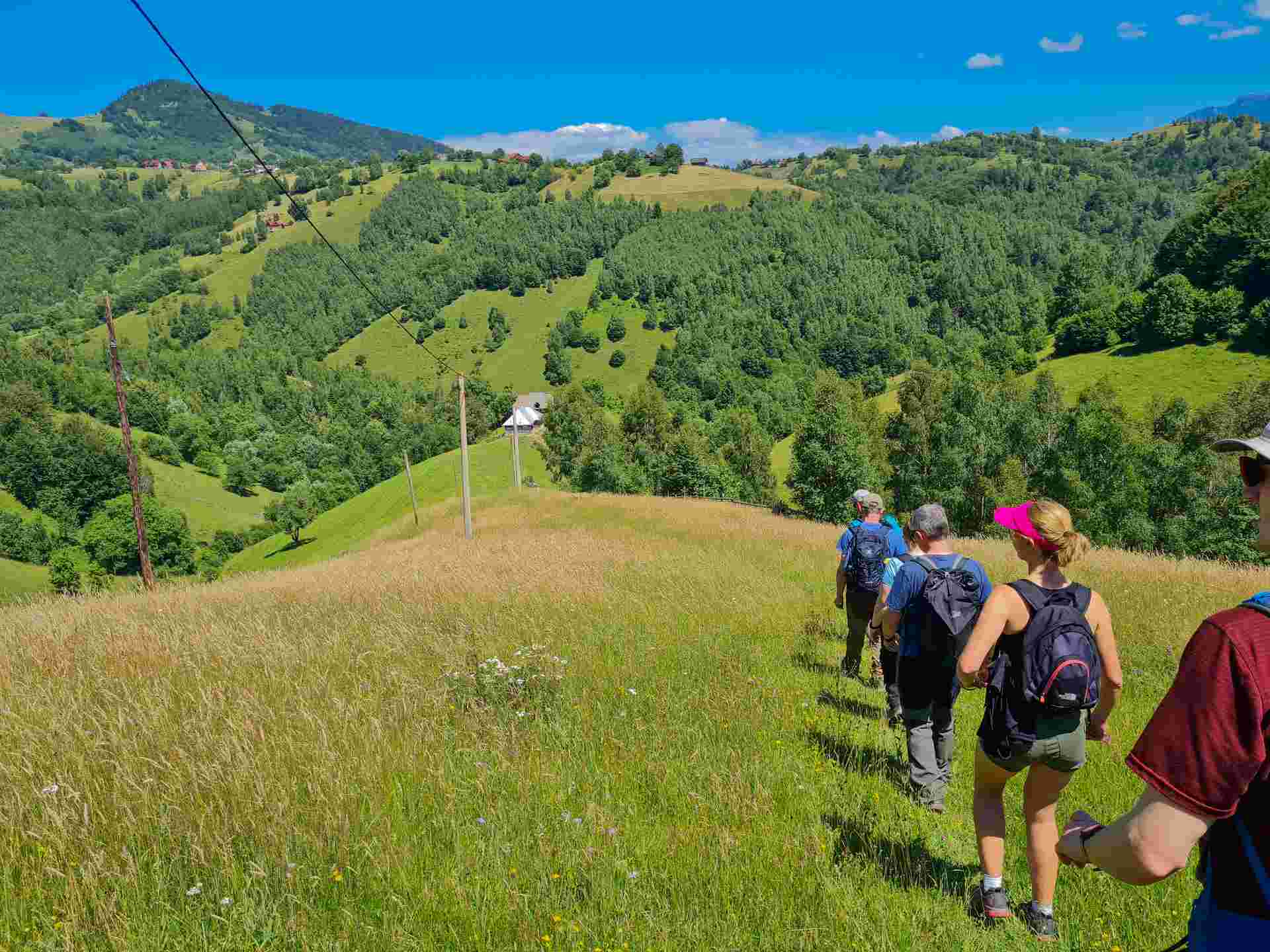 Carpathian Walking & Bears